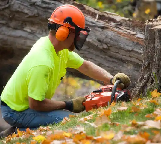 tree services West Fargo